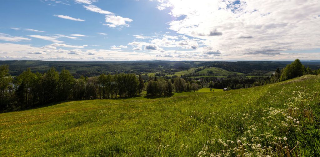 Vy över Ekobyn i Kaxås