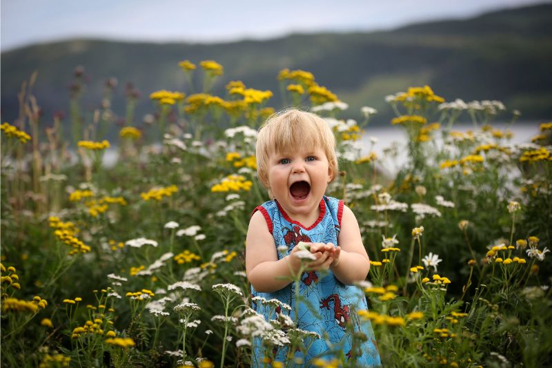 Ett barn plockar blommor på ängen i Övre Kaxås