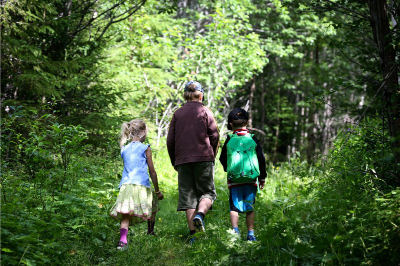 Tre barn som går i skogen