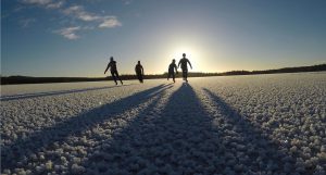 Fyra personer åker skridskor på isen i motljus